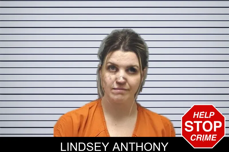 Lindsey Anthony mugshot – Cherokee County , Georgia Lindsey Anthony mugshot