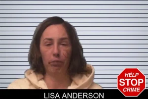 Lisa Anderson mugshot