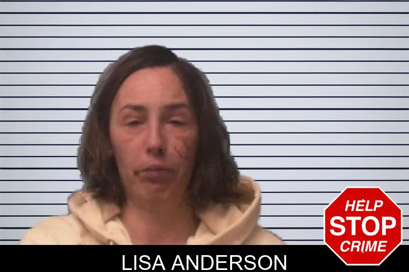 Lisa Anderson mugshot – Franklin County , Georgia Lisa Anderson mugshot