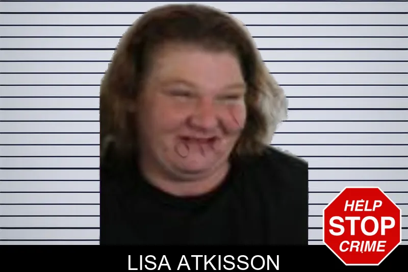 Lisa Atkisson mugshot