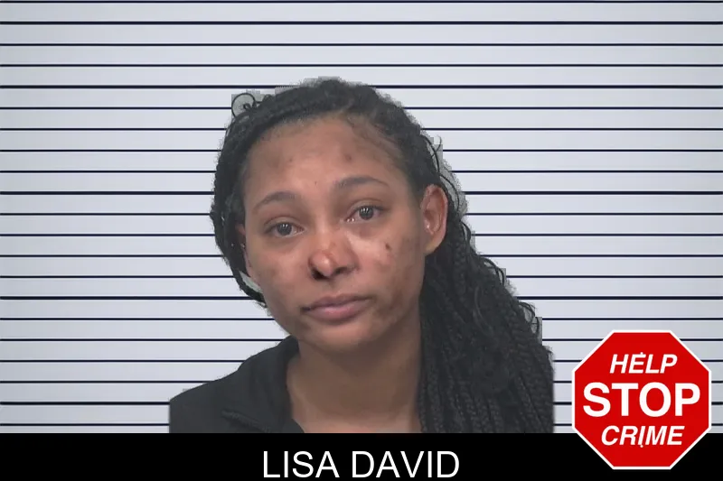 Lisa David mugshot
