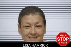 Lisa Hamrick mugshot