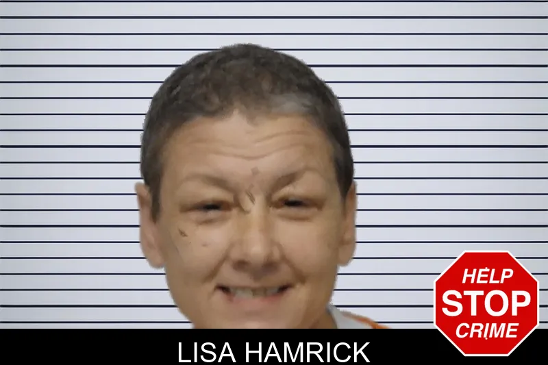 Lisa Hamrick mugshot
