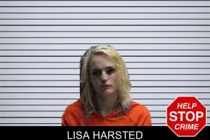 Lisa Harsted mugshot