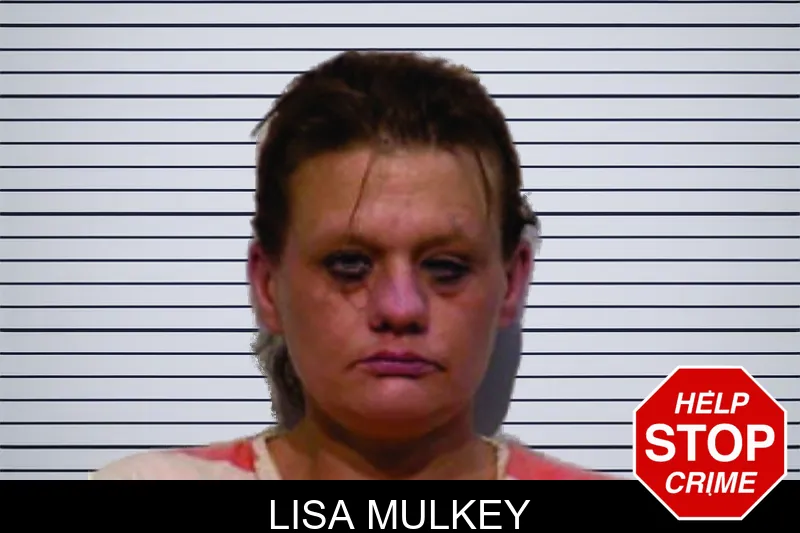 Lisa Mulkey mugshot – Bartow County , Georgia Lisa Mulkey mugshot