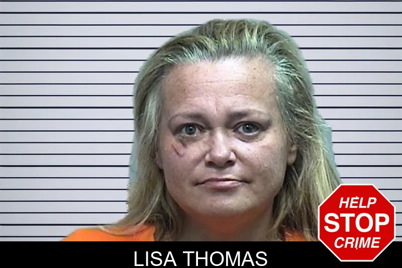 Lisa Thomas mugshot