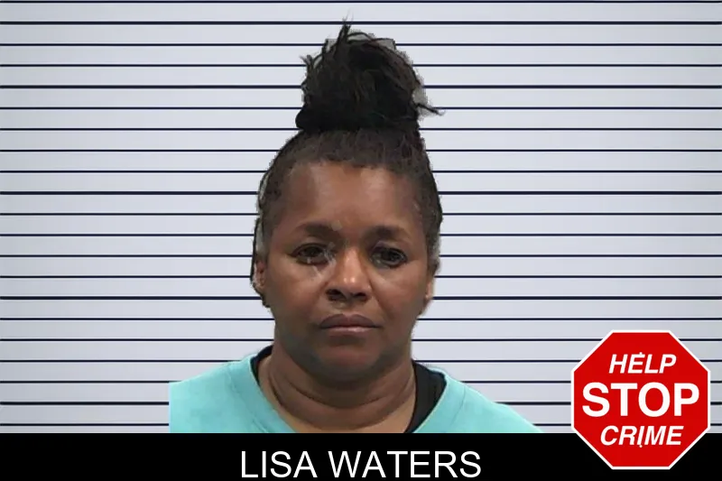 Lisa Waters mugshot