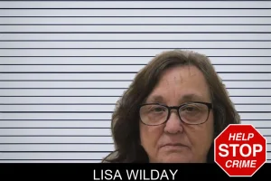 Lisa Wilday mugshot