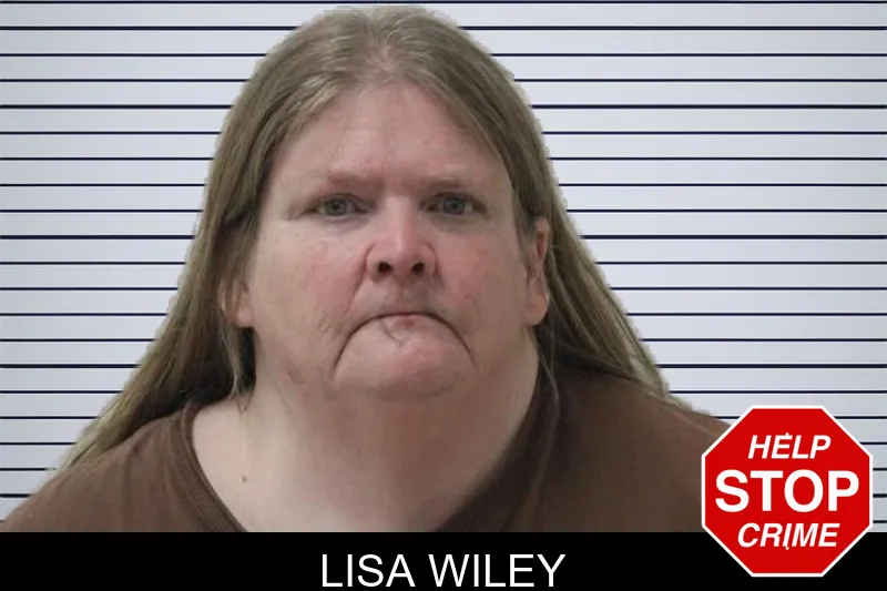 Lisa Wiley mugshot – Jones County , Georgia Lisa Wiley mugshot