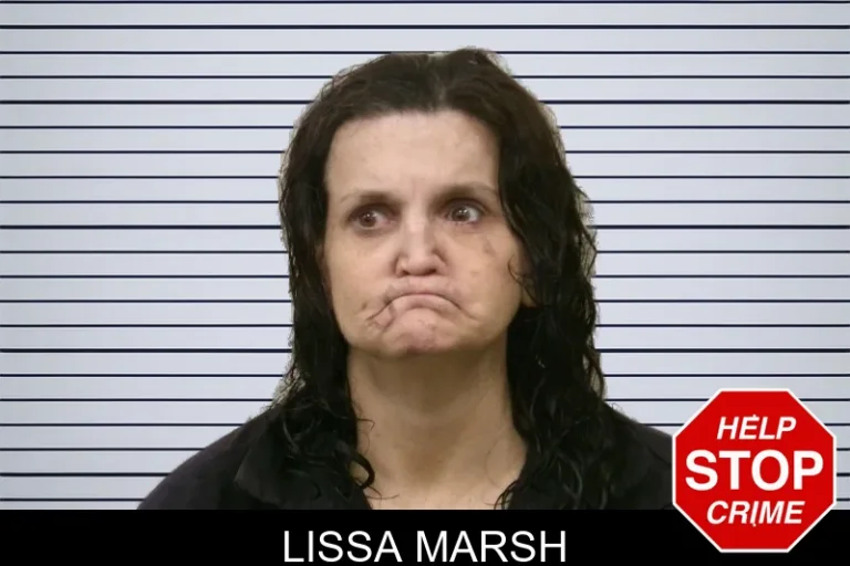 Lissa Marsh mugshot – Bulloch County , Georgia Lissa Marsh