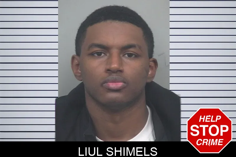 Liul Shimels mugshot