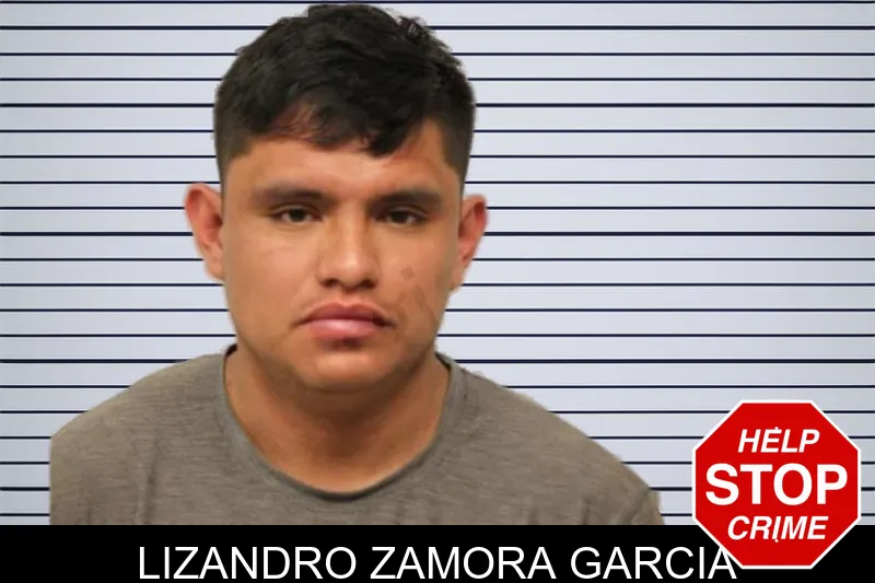 Lizandro Zamora Garcia mugshot – Chatham County , Georgia Lizandro Zamora Garcia mugshot
