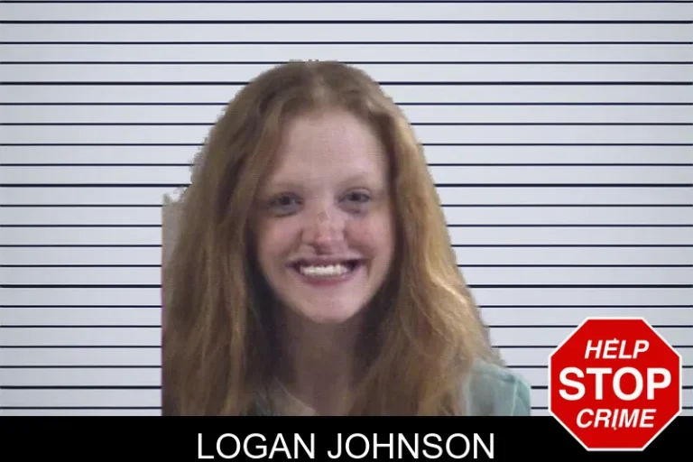 Logan Johnson mugshot – Whitfield County , Georgia Logan Johnson