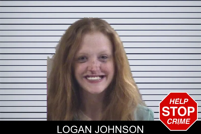 Logan Johnson mugshot