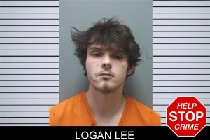 Logan Lee mugshot