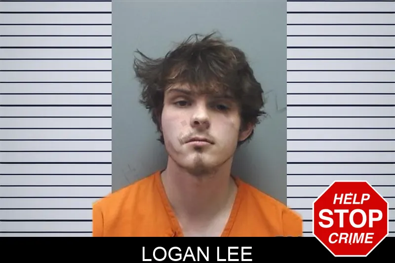 Logan Lee mugshot