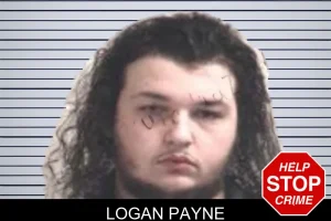 Logan Payne mugshot