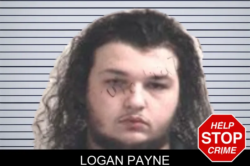 Logan Payne mugshot