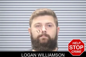 Logan Williamson mugshot
