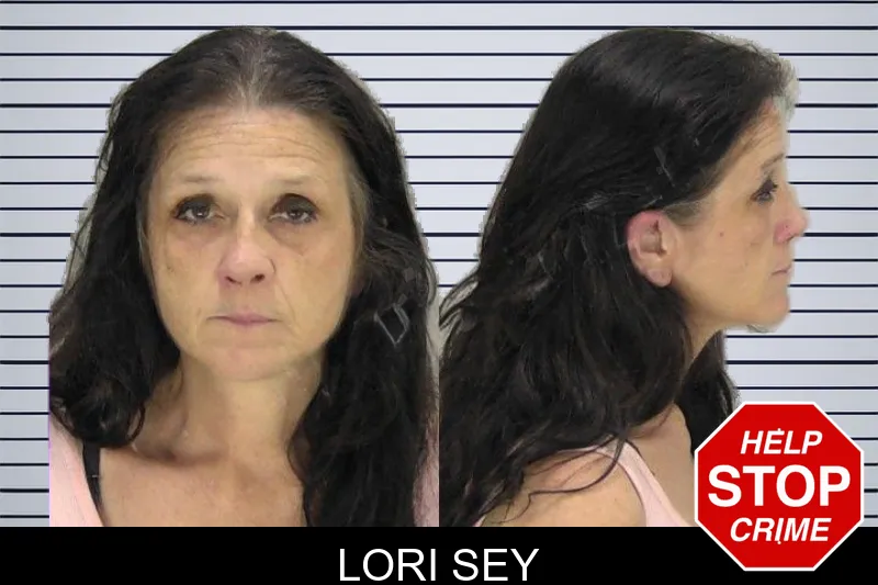 Lori Sey mugshot