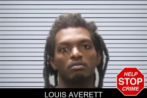 Louis Averett mugshot
