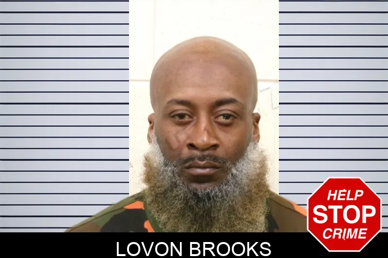 Lovon Brooks mugshot – Bulloch County , Georgia Lovon Brooks mugshot