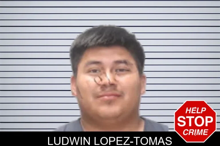 Ludwin Lopez-Tomas