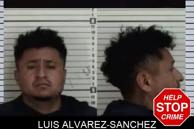 Luis Alvarez-Sanchez mugshot – Camden County , Georgia Luis Alvarez-Sanchez