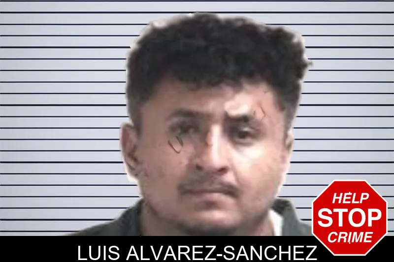 Luis Alvarez-Sanchez mugshot