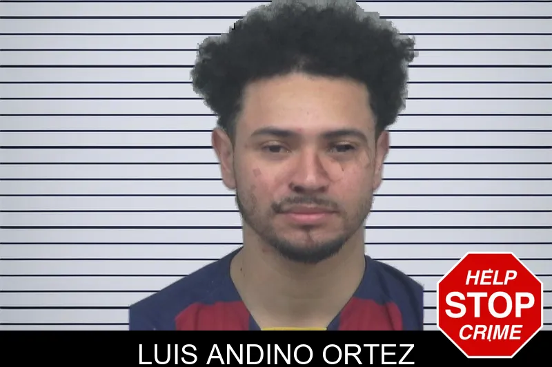 Luis Andino Ortez mugshot