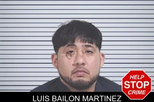 Luis Bailon Martinez mugshot
