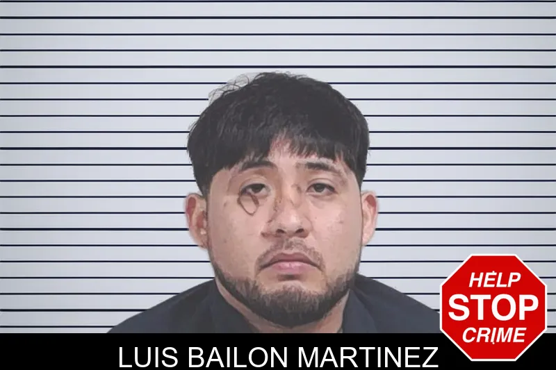 Luis Bailon Martinez mugshot