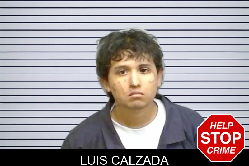 Luis Calzada mugshot – Fulton County , Georgia Luis Calzada mugshot