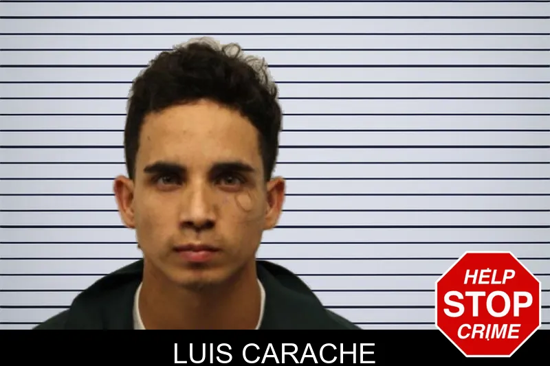 Luis Carache mugshot