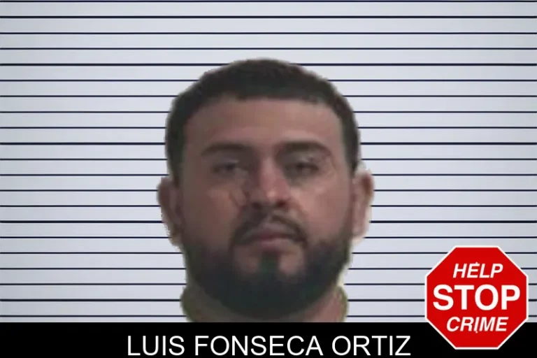 Luis Fonseca Ortiz