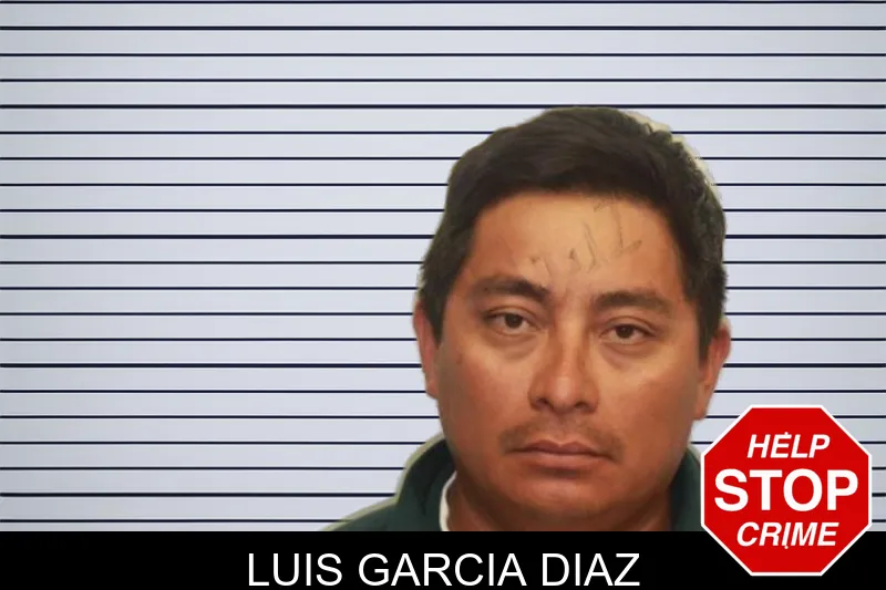 Luis Garcia Diaz mugshot