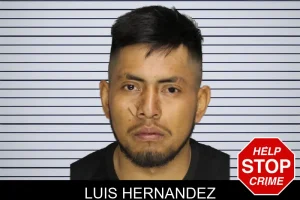 Luis Hernandez mugshot
