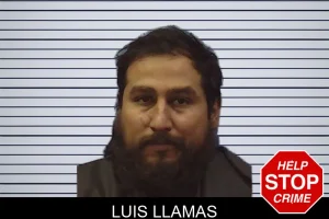 Luis Llamas mugshot