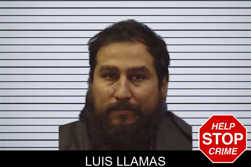 Luis Llamas mugshot
