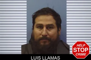 Luis Llamas mugshot