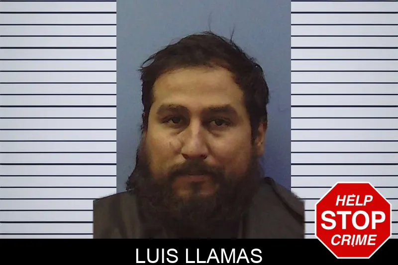 Luis Llamas mugshot – Chattooga County , Georgia Luis Llamas mugshot