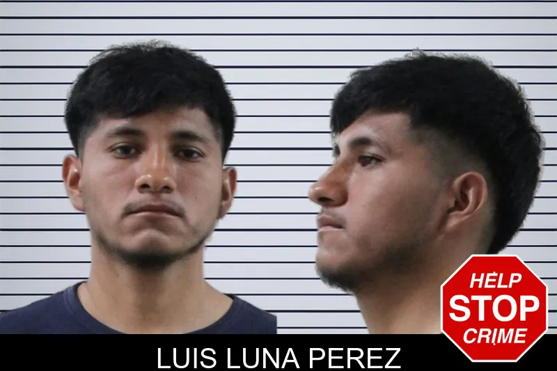 Luis Luna Perez mugshot