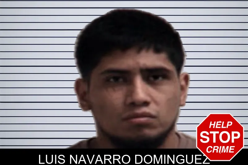 Luis Navarro Dominguez mugshot