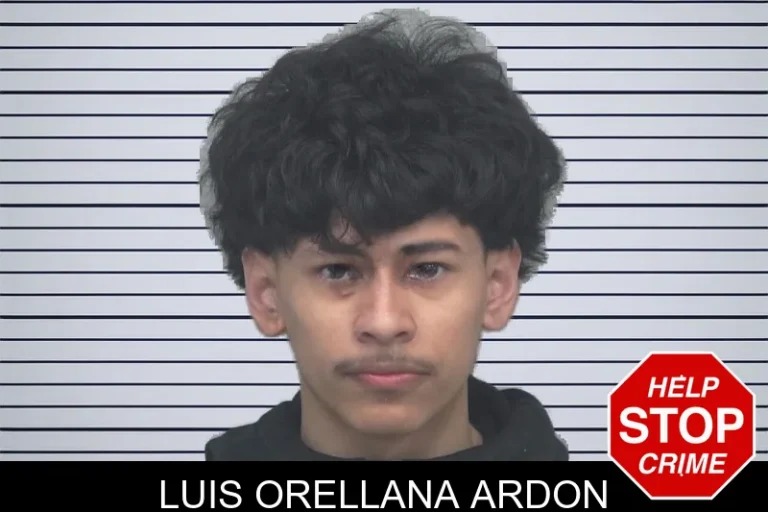 Luis Orellana Ardon