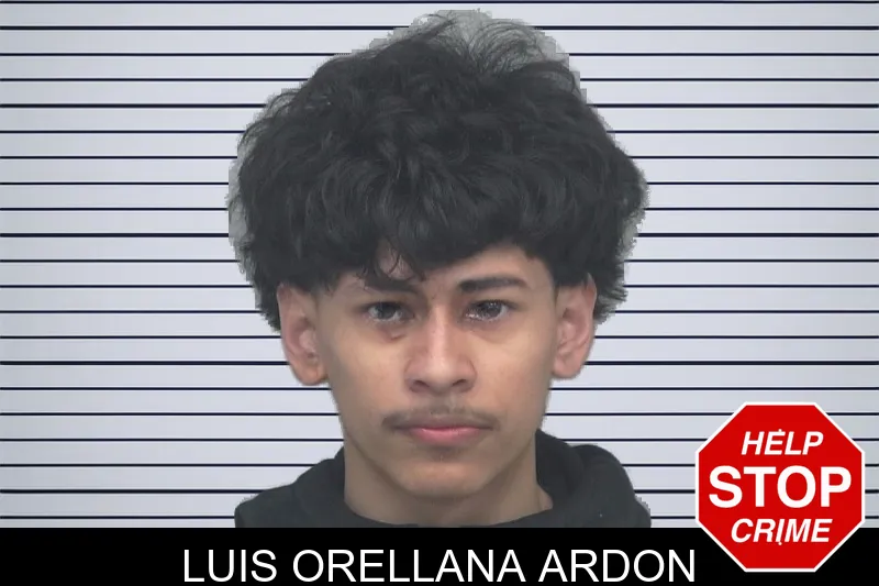 Luis Orellana Ardon mugshot