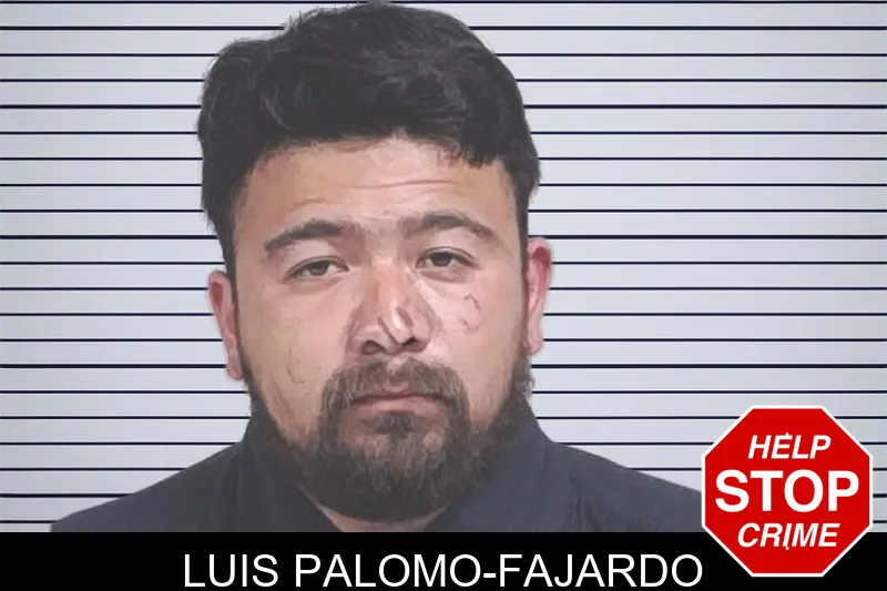 Luis Palomo-Fajardo mugshot