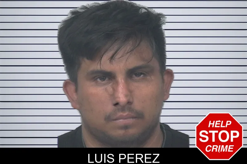 Luis Perez mugshot