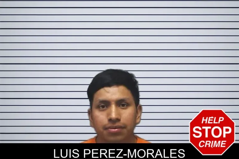Luis Perez-Morales