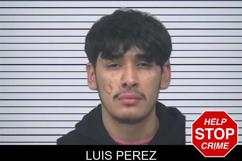 Luis Perez mugshot