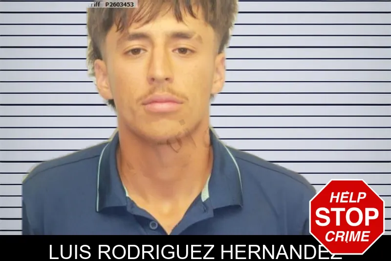 Luis Rodriguez Hernandez mugshot